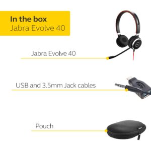 Jabra Evolve 40 Professional Wired Headset, Stereo, MS-Optimized – Telephone Headset for Greater Productivity, Superior Sound for Calls and Music, 3.5mm Jack/USB Connection, All-Day Comfort Design